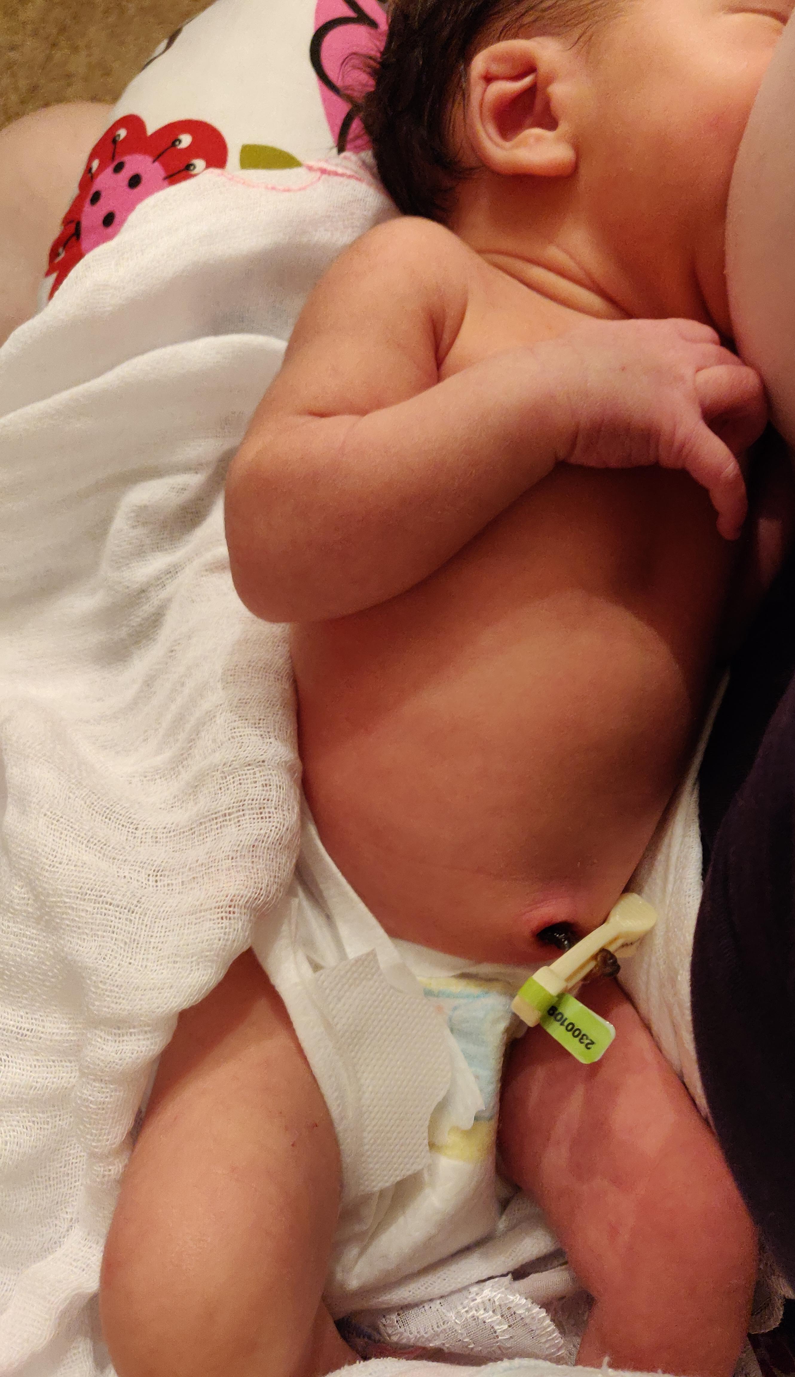 IMG_20181012_200553__01